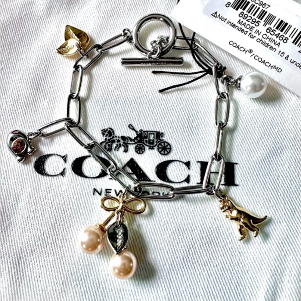 COACH “VIRAL” Kiss Charm Silver Bracelet With Rexy Dinosaur NWT